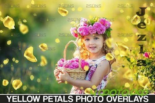 Falling Rose Petals Photo Overlays , Yellow petals png - 1132982 Falling Rose Petals Photo Overlays , Yellow petals png - 1132982
