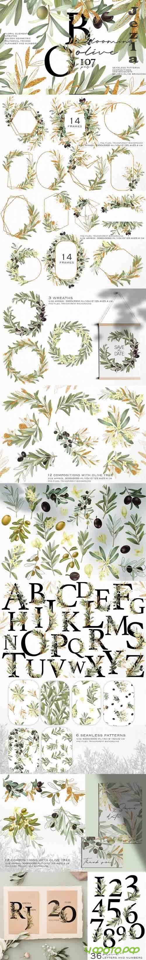 Blooming olive collection - 1213085