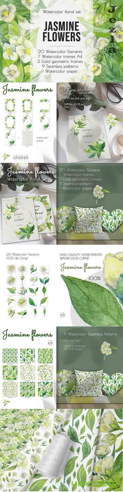 Jasmine flowers and leaves. Watercolor clip art - 864260
