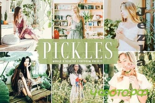 Pickles Mobile & Desktop Lightroom Presets