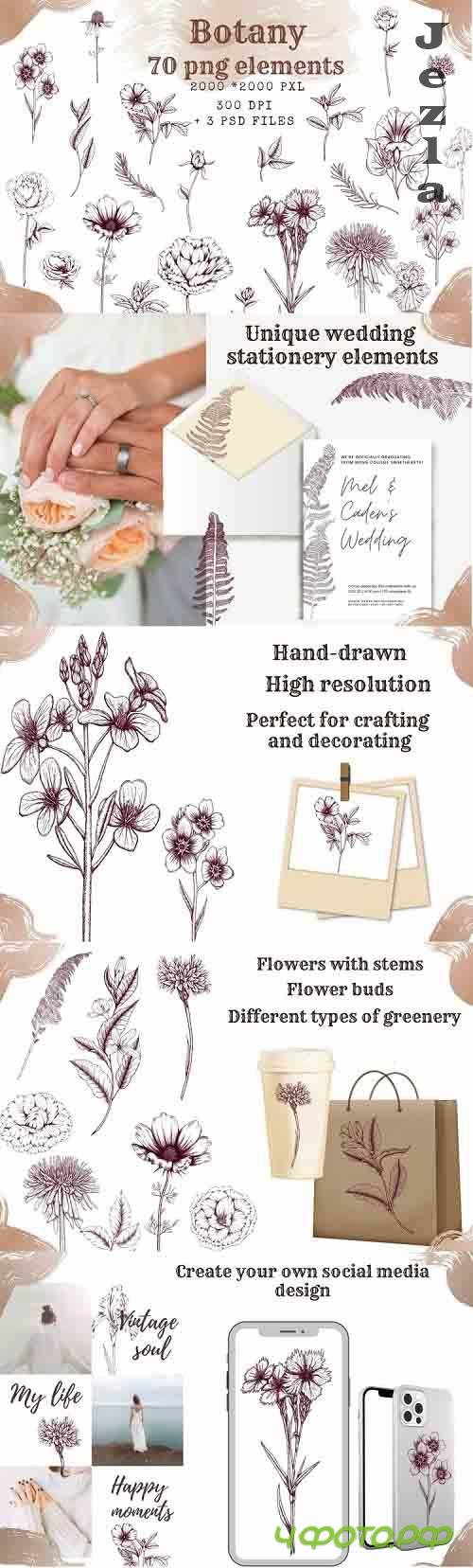 Botanical aesthetic clipart,hand drawn floral design element - 1246269