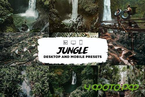 Jungle Lightroom Presets - 5953542