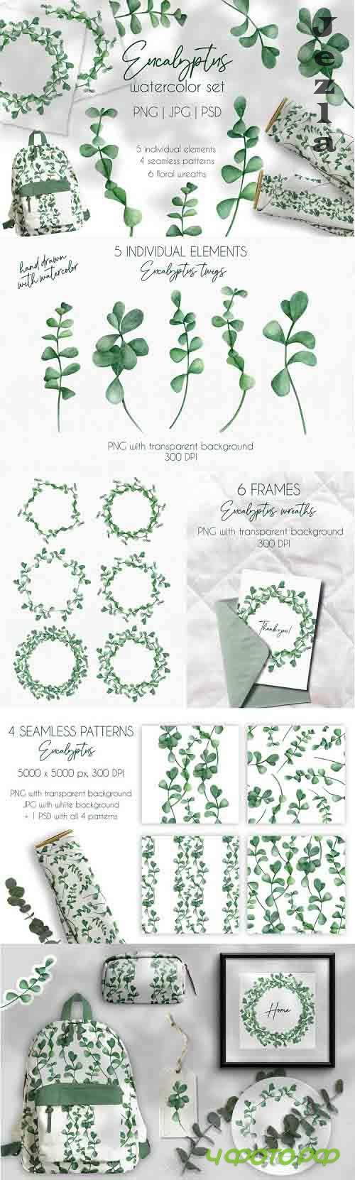 Eucalyptus Watercolor Clipart Collection. Floral Wreaths PNG - 1269033