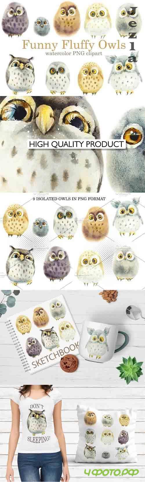 Watercolor Funny Owls - 6022757