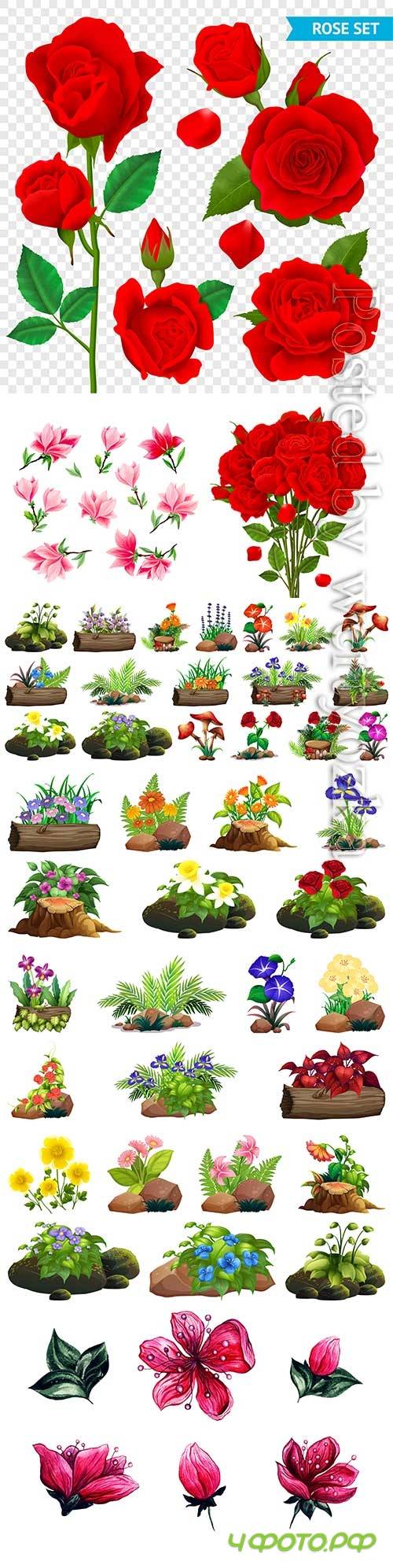 Flowers and floral arrangements in vector