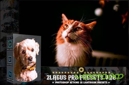 PRO Presets - V 28 - Photoshop & Lightroom