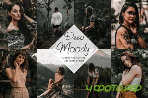 10 Lightroom Presets Neo Deep Moody