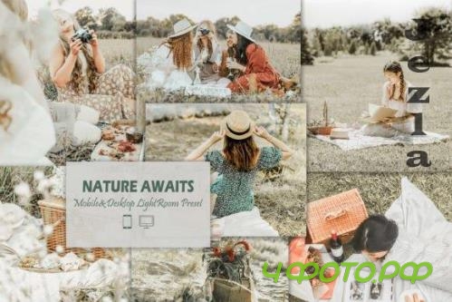 12 Nature Awaits Mobile & Desktop Lightroom Presets, Spring - 2416123