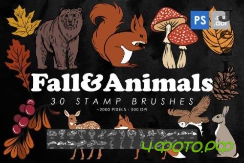 Autumn & Animals Photoshop Stamp Brushes - 2428432