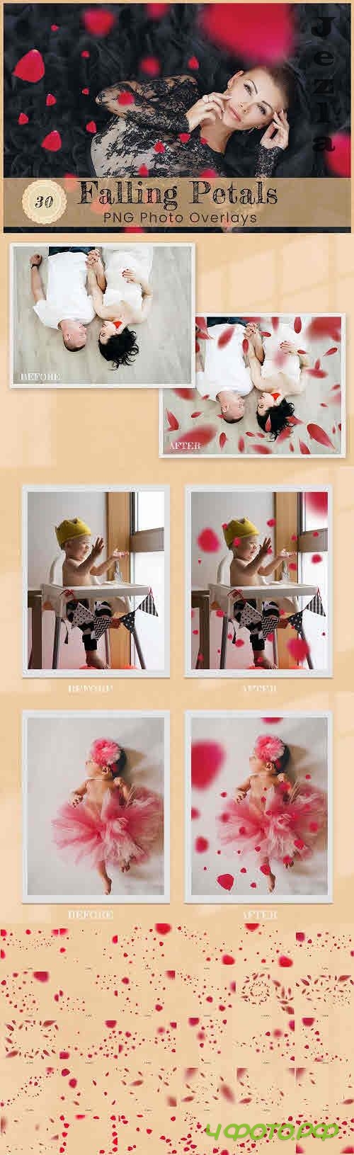 30 Falling Petals Photoshop Overlays - 13440853