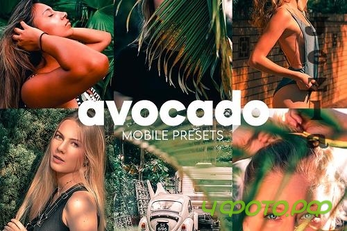 Avocado Lightroom Mobile Preset - 6882311