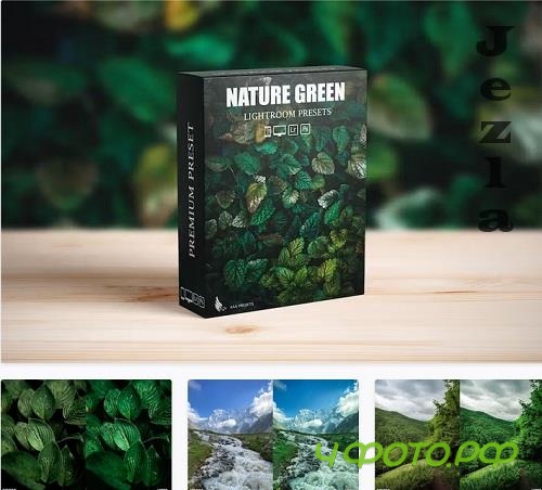 Nature Moody Green Lightroom Preset - 38885916