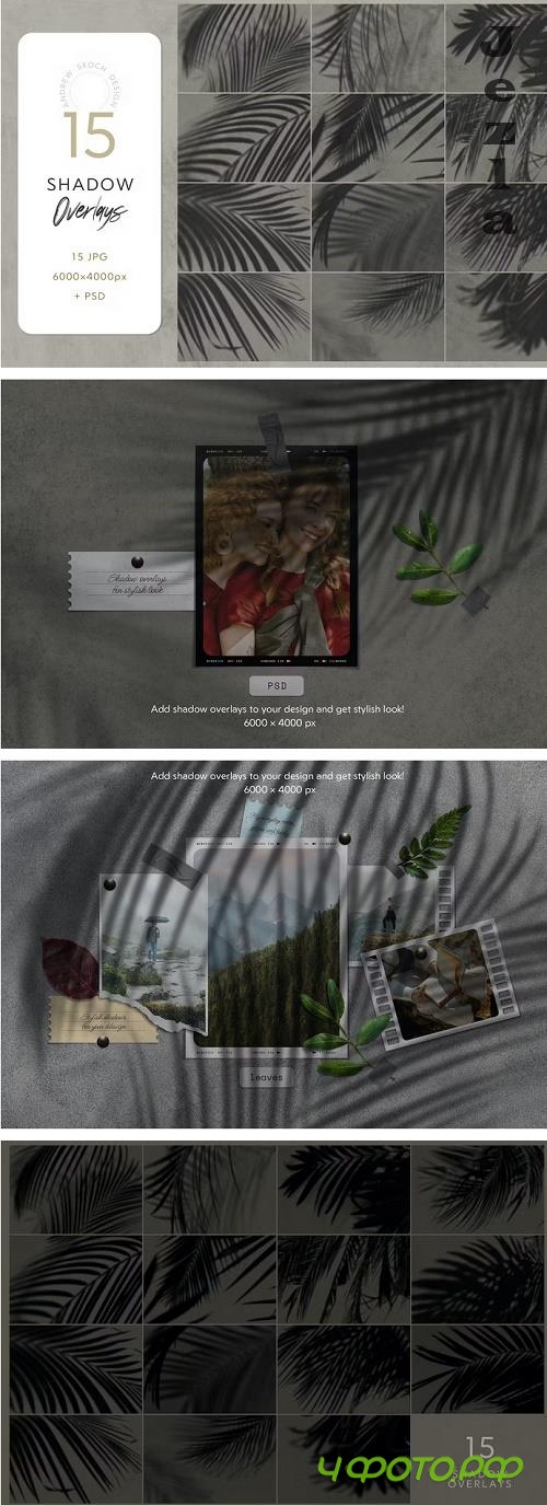 Leaves Shadow Overlays - CA6FP25