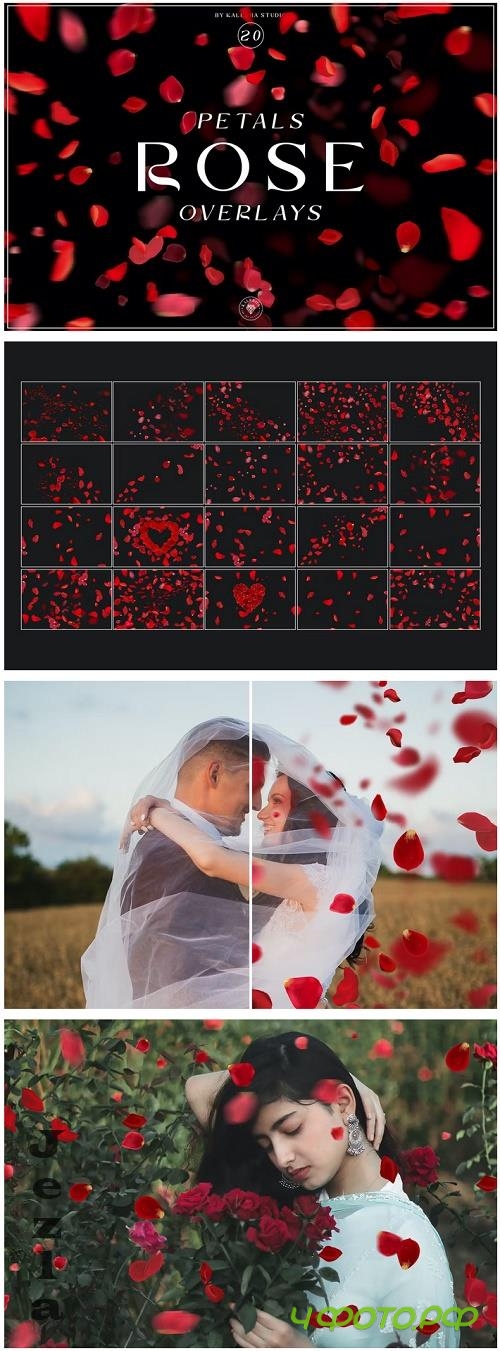 Rose Petals Overlays - MH8JE7R