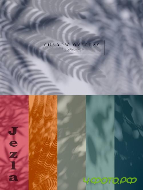 Botanical Shadow Overlays - 31391874