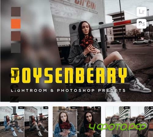 6 Boysenberry Lightroom and Photoshop Presets - C58HQP8