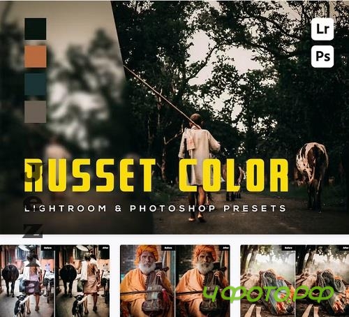 6 Russet Color Lightroom and Photoshop Presets - DLG6AYP