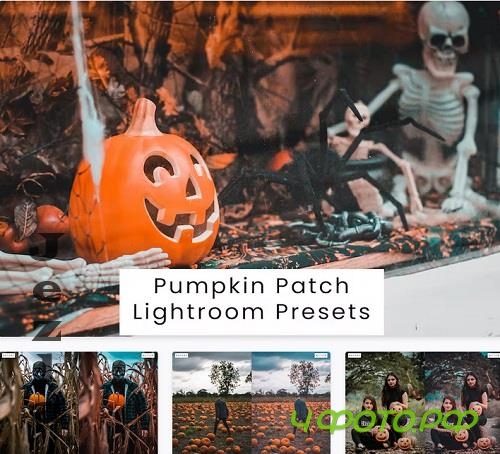Pumpkin Patch Lightroom Presets - GXHV6C8