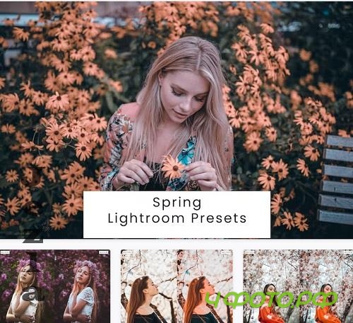 Spring Lightroom Presets - CK24S84