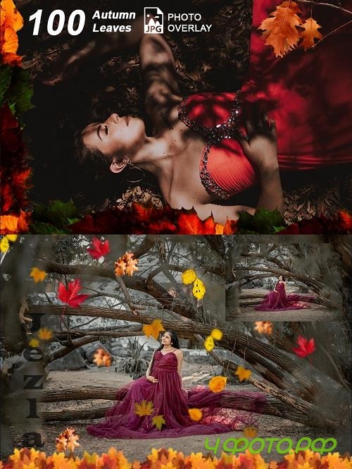 100 Autumn Leaves Photo Overlay PNG - 91610593
