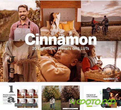 20 Cinnamon Lightroom Presets LUTs - 91619690 20 Cinnamon Lightroom Presets LUTs - 91619690