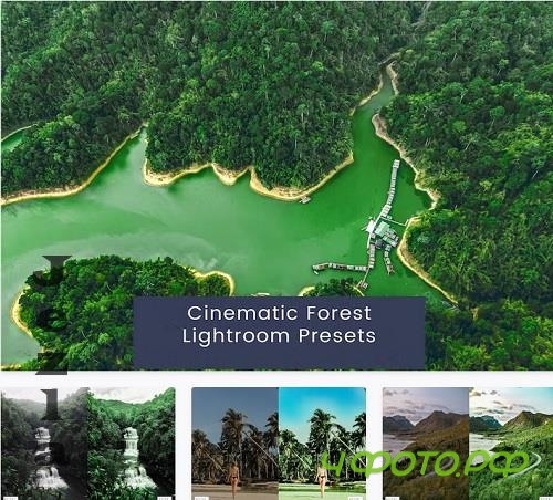 Cinematic Forest Lightroom Presets - Y4BBJ57