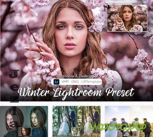 20 Winter Lightroom Preset - 7N43G35