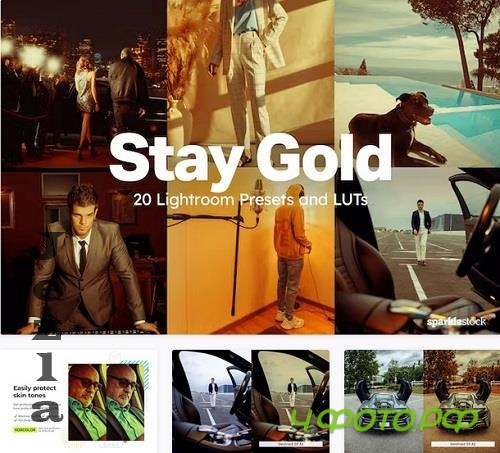20 Stay Gold Lightroom Presets LUTs - 91933458