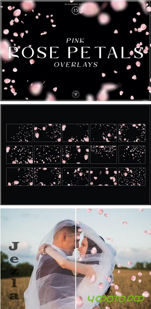 Pink Rose Petals Overlays - 2P4EBFF