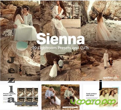 20 Sienna Lightroom Presets and LUTs - 92044114