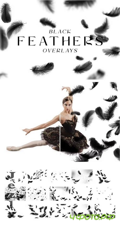 Black Feathers Overlays - 9PNGAR9
