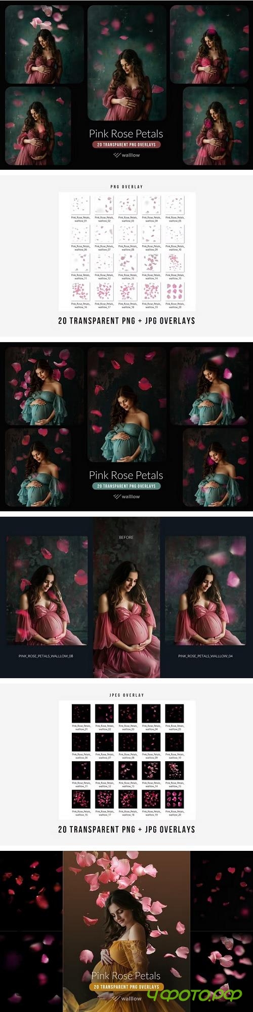 Pink rose flower petals transparent PNG overlays - H2RL8NN