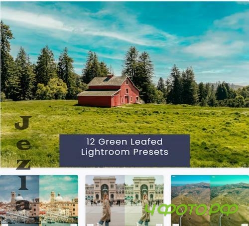 12 Green Leafed Lightroom Presets - R5EHKPQ