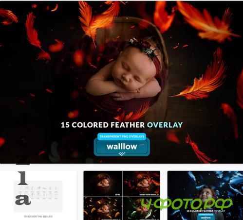 Colorful feathers png photo overlays - 278365507