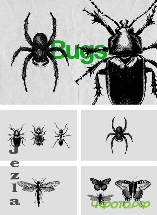 Bugs Dithering Bitmap Vector Shapes