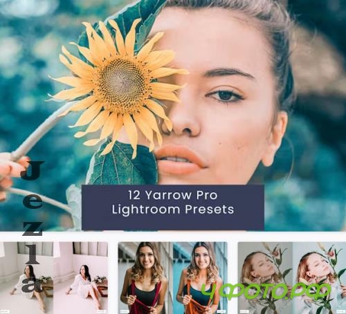12 Yarrow Pro Lightroom Presets - YLU6692 12 Yarrow Pro Lightroom Presets - YLU6692