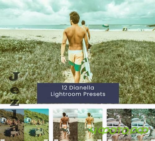 12 Dianella Lightroom Presets - 5YC6HQ8