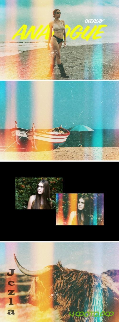 Analogue Film Photo Effect - 282143790
