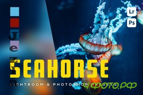6 Seahorse Lightroom and Photoshop Presets - MV5WW5C 6 Seahorse Lightroom and Photoshop Presets - MV5WW5C