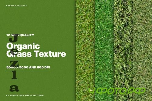 12 Organic Grass Textures - W2ZRN6B