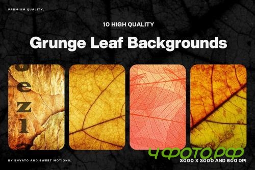 Grunge Leaf Background - N4RBFGN