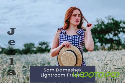 Sam Dameshek Lightroom Presets - 8HM79RQ Sam Dameshek Lightroom Presets - 8HM79RQ