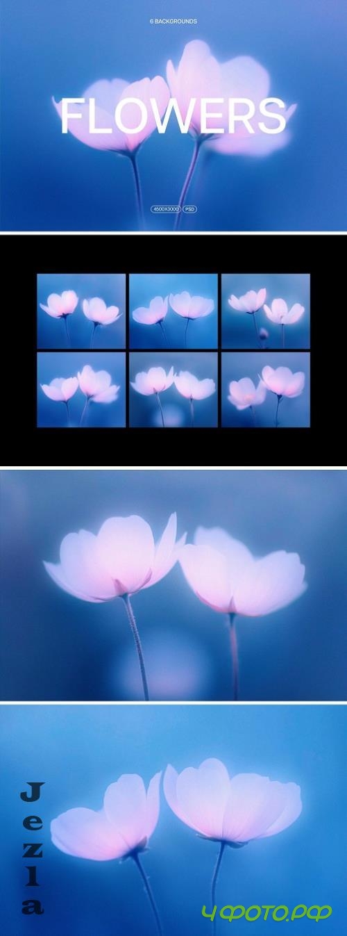 Abstact Blurred Flower Textures - 290848164