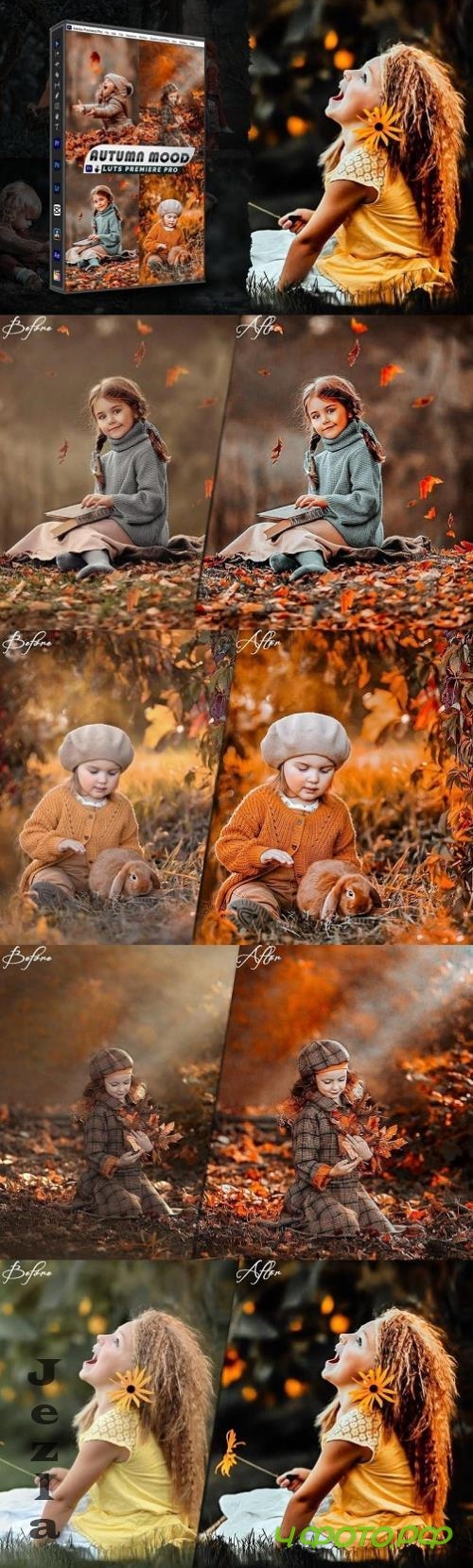 Lightroom Presets And luts Video Premiere Pro - G35CEH2 Lightroom Presets And luts Video Premiere Pro - G35CEH2