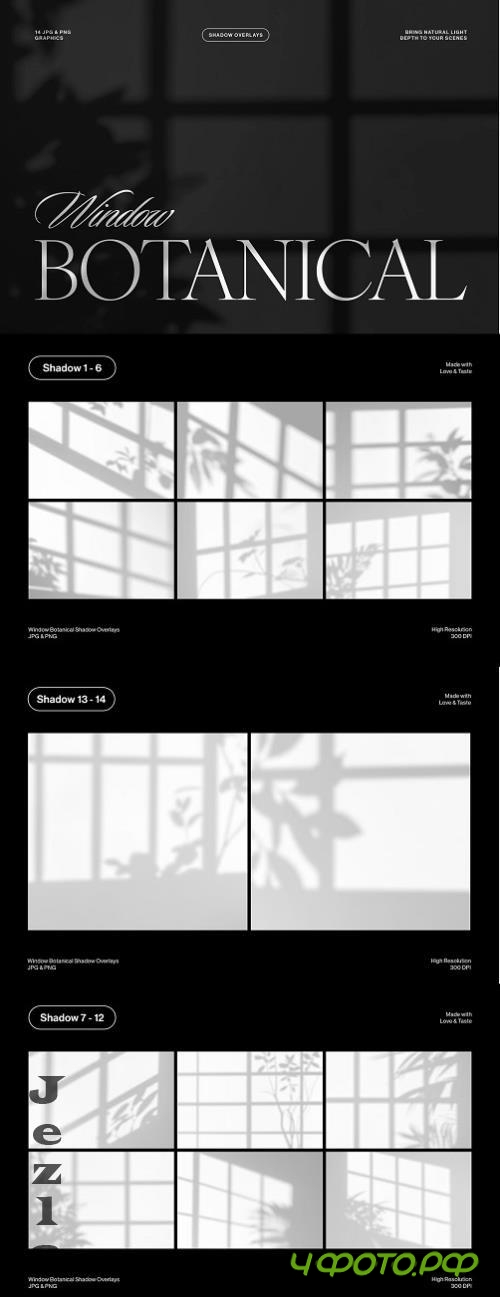 Window Botanical Shadow Overlays - 2WHH72Y